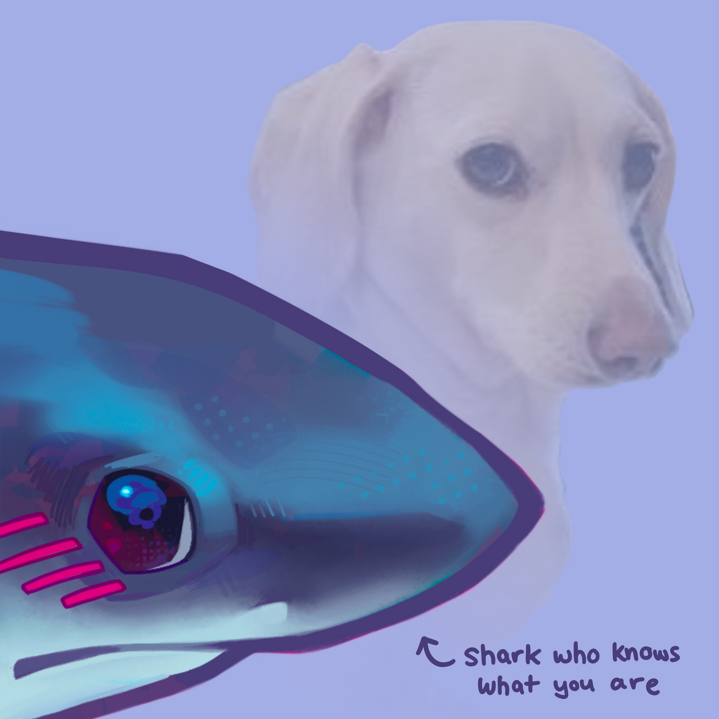 Shy Shark Charm by Hololucent